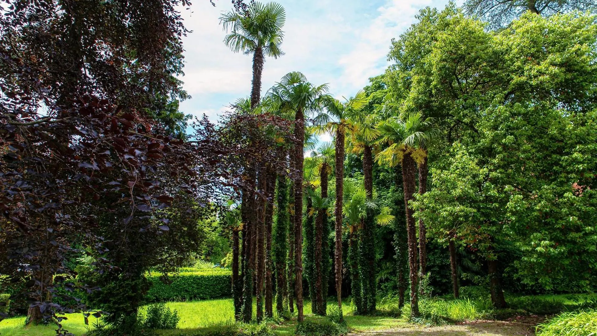 Daire L'Orangerie Di Villa Mayer - Myhomeincomo Tremezzo İtalya
